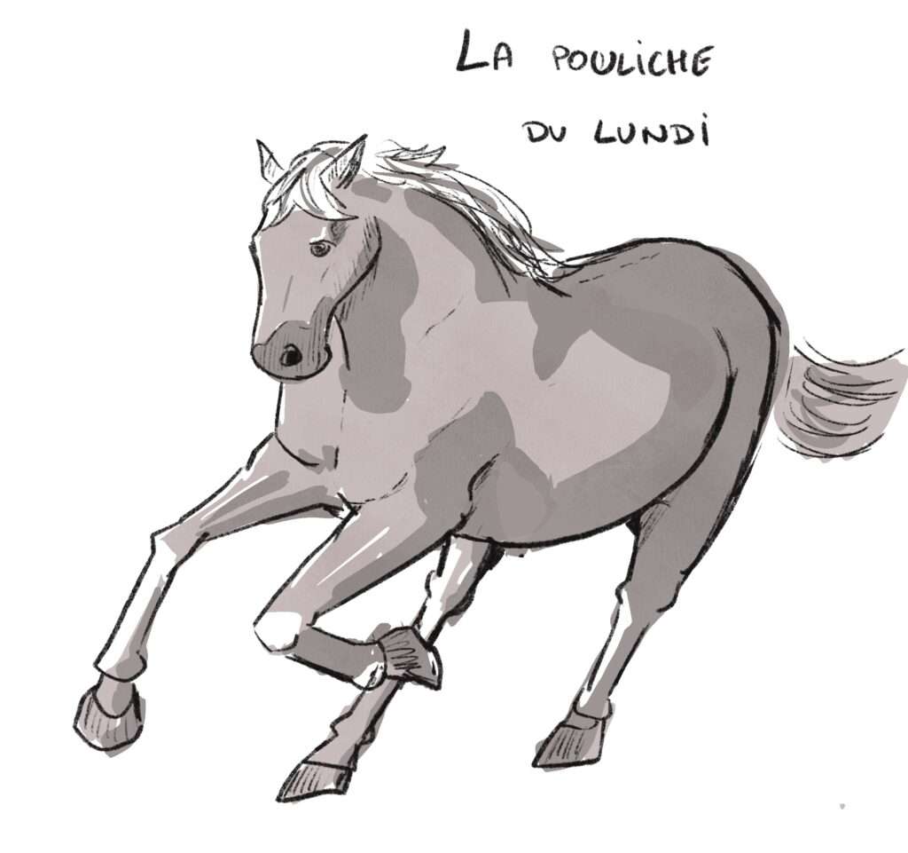 Un cheval au galop